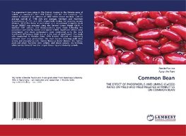 Common Bean