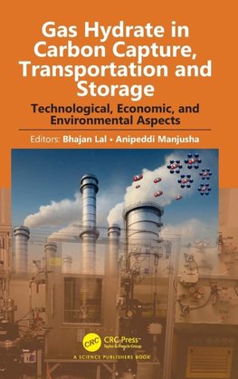 Gas Hydrate in Carbon Capture, Transportation and Storage