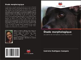 Étude morphologique