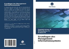 Grundlagen des Management-Informationssystems