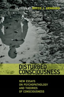 Disturbed Consciousness