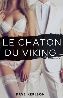 Le chaton du viking
