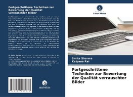 Fortgeschrittene Techniken zur Bewertung der Qualität verrauschter Bilder