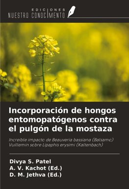 Incorporación de hongos entomopatógenos contra el pulgón de la mostaza