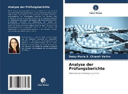 Analyse der Prüfungsberichte