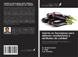 Injerto en berenjena para obtener rendimiento y atributos de calidad