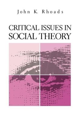 Critical Issues in Social Theory
