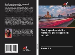 Studi sperimentali e numerici sulle scorie di acciaio