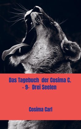 Das Tagebuch  der Cosima C. - 9-  Drei Seelen