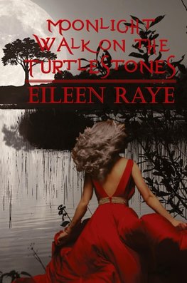 Moonlight Walk on the Turtlestones