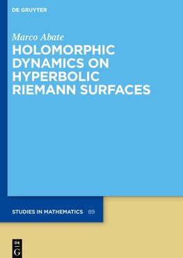 Holomorphic Dynamics on Hyperbolic Riemann Surfaces