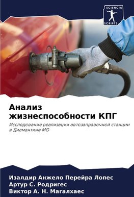 Analiz zhiznesposobnosti KPG