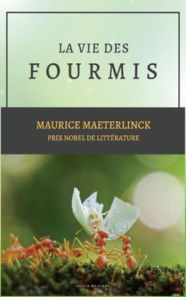 La vie des Fourmis