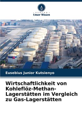 Wirtschaftlichkeit von Kohleflöz-Methan-Lagerstätten im Vergleich zu Gas-Lagerstätten
