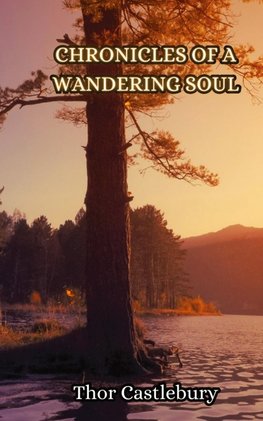 Chronicles of a Wandering Soul