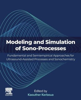 Modeling and Simulation of Sono-Processes