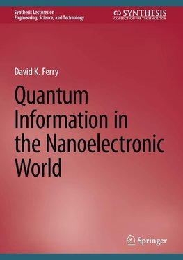 Quantum Information in the Nanoelectronic World