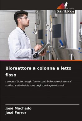 Bioreattore a colonna a letto fisso