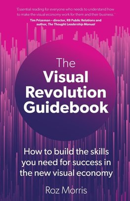 The Visual Revolution Guidebook
