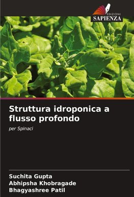 Struttura idroponica a flusso profondo