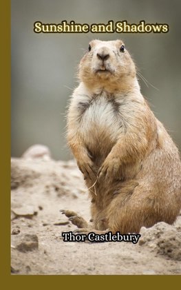 Sunshine and Shadows