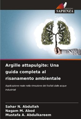 Argille attapulgite: Una guida completa al risanamento ambientale