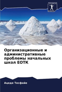 Organizacionnye i administratiwnye problemy nachal'nyh shkol EOTK