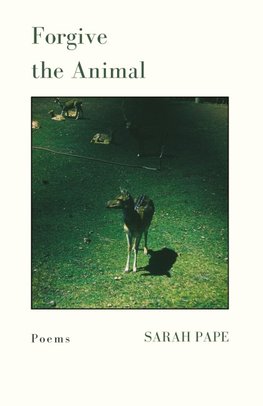 Forgive the Animal