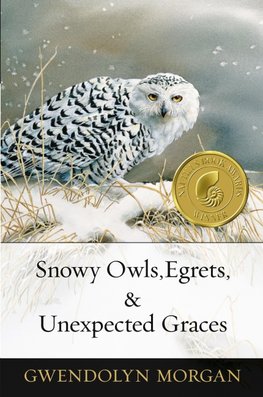 Snowy Owls, Egrets & Unexpected Graces