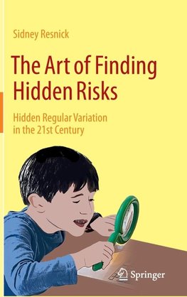 The Art of Finding Hidden Risks