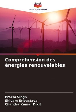 Compréhension des énergies renouvelables