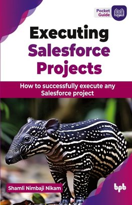 Executing Salesforce Projects