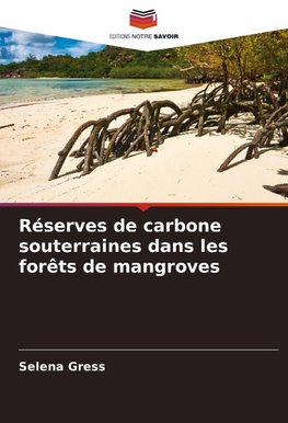 Réserves de carbone souterraines dans les forêts de mangroves