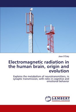 Electromagnetic radiation in the human brain, origin and evolution