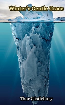 Winter's Gentle Grace