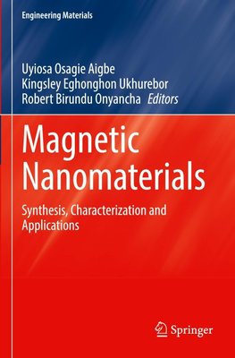 Magnetic Nanomaterials