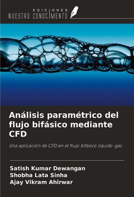Análisis paramétrico del flujo bifásico mediante CFD
