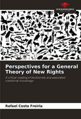 Perspectives for a General Theory of New Rights