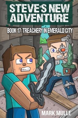 Steve's New Adventure Book 17