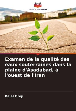Examen de la qualité des eaux souterraines dans la plaine d'Asadabad, à l'ouest de l'Iran