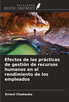 Efectos de las prácticas de gestión de recursos humanos en el rendimiento de los empleados