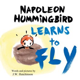 Napoleon Hummingbird Learns to Fly