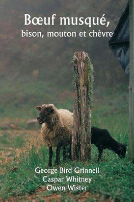 B¿uf musqué,  bison, mouton et chèvre