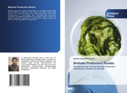 Biofuels Production Routes