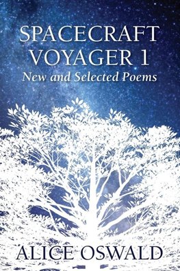 Spacecraft Voyager 1