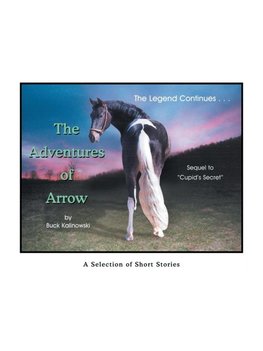 The Adventures of Arrow