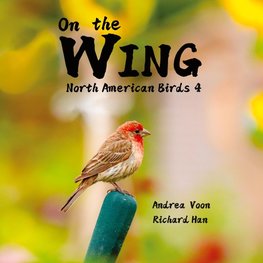 On the Wing - North American Birds 4