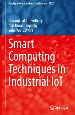 Smart Computing Techniques in Industrial IoT