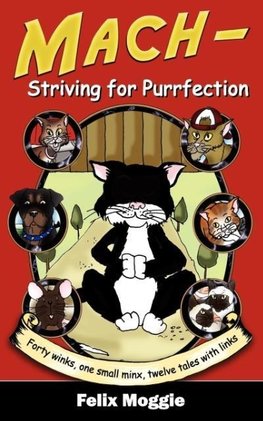 Mach - Striving for Purrfection