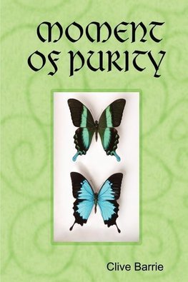 MOMENT OF PURITY
